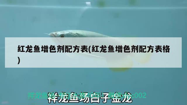 紅龍魚增色劑配方表(紅龍魚增色劑配方表格) 銀龍魚苗