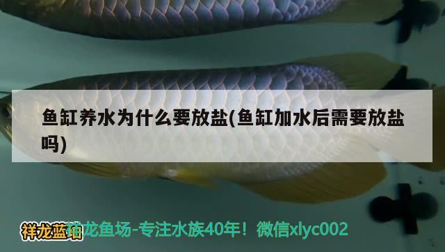 阜新個(gè)人二手魚缸交易平臺(tái)電話地址是多少的簡(jiǎn)單介紹 iwish愛唯希品牌魚缸