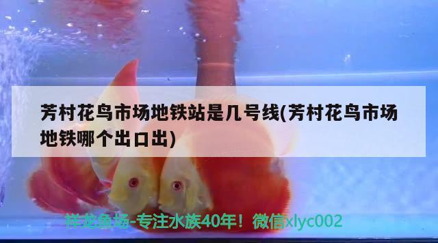 伊罕精巧桶好用嗎：伊罕精巧桶60怎么樣