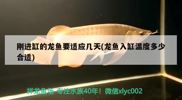 龍沙區(qū)歷明觀賞魚攤床 全國水族館企業(yè)名錄 第2張