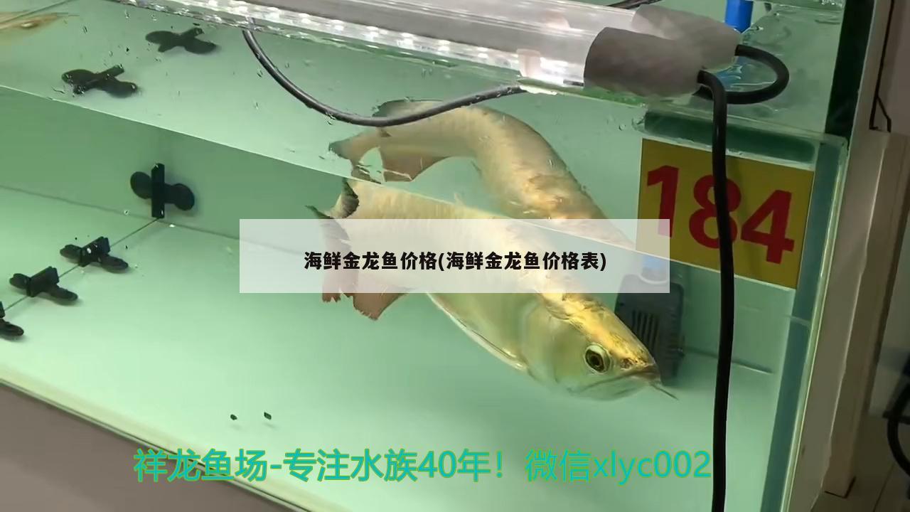 海鮮金龍魚價(jià)格(海鮮金龍魚價(jià)格表)