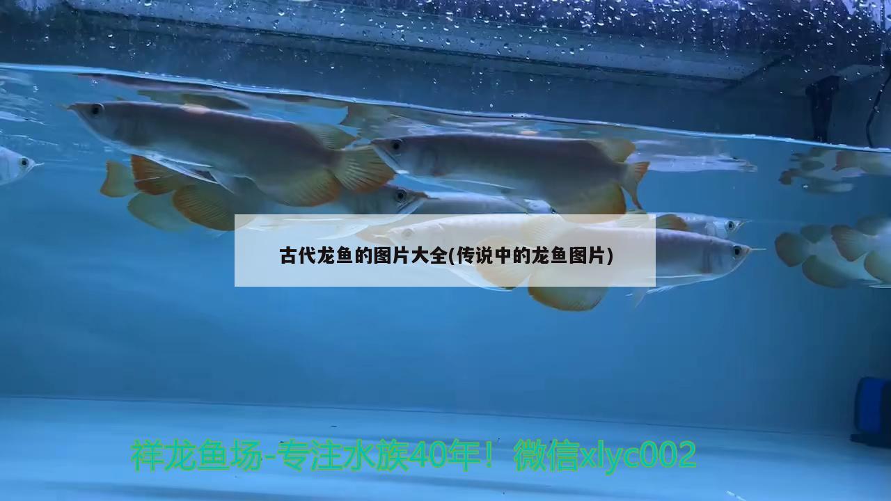 水溫上來了