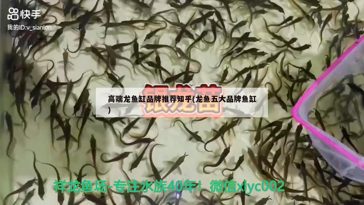 高端龍魚缸品牌推薦知乎(龍魚五大品牌魚缸) 養(yǎng)魚知識(shí)