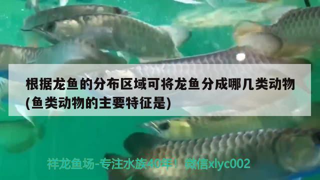 快點長 大嘴鯨魚 第2張