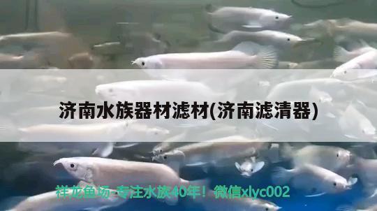 最美的魚(yú)缸圖片大全大圖（ 最美的魚(yú)缸圖片大全大圖真實(shí)） 吉印水族