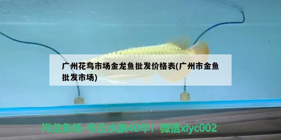 石頭魚缸造景圖片欣賞（石頭魚缸造型）