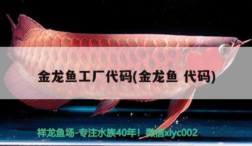 金龍魚工廠代碼(金龍魚代碼) ?；?異型虎魚/純色虎魚