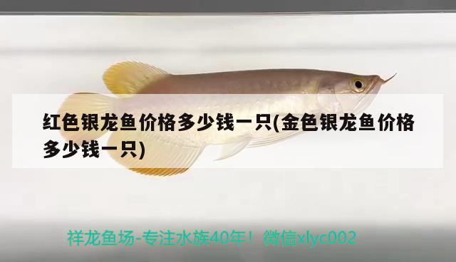 老魚匠變頻加熱棒顯示離水怎么處理?(老漁匠加熱棒離水故障) 老魚匠 第1張