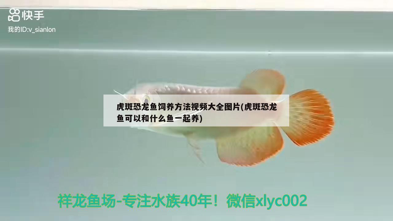 南寧市景寓水族用品店 全國水族館企業(yè)名錄 第2張