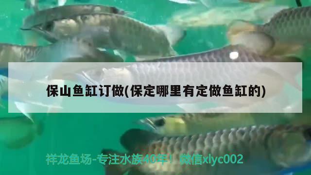 保山魚缸訂做(保定哪里有定做魚缸的) 元寶鳳凰魚專用魚糧