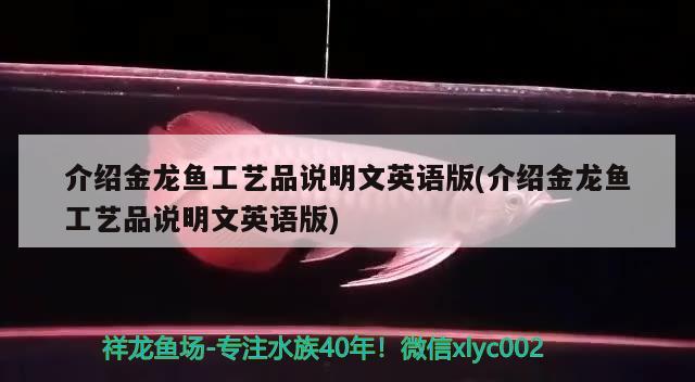 介紹金龍魚工藝品說明文英語版(介紹金龍魚工藝品說明文英語版)