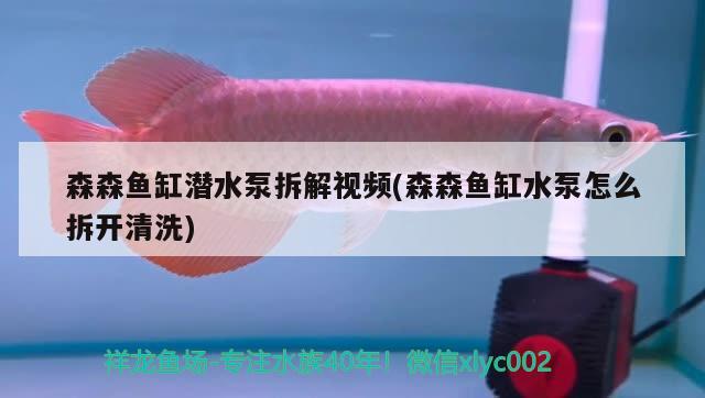 森森魚缸潛水泵拆解視頻(森森魚缸水泵怎么拆開清洗)