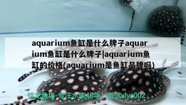 魚缸過(guò)濾器怎樣安裝圖片教程視頻（3M凈水器怎么樣） 白寫錦鯉魚 第1張