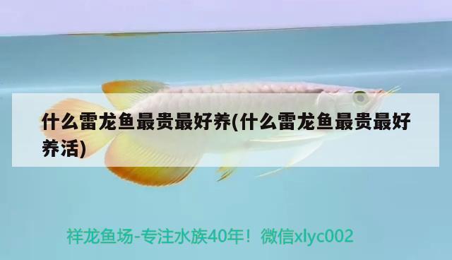 魚缸上水和下水一樣粗嗎?（魚缸上水和下水管） 戰(zhàn)車紅龍魚 第1張