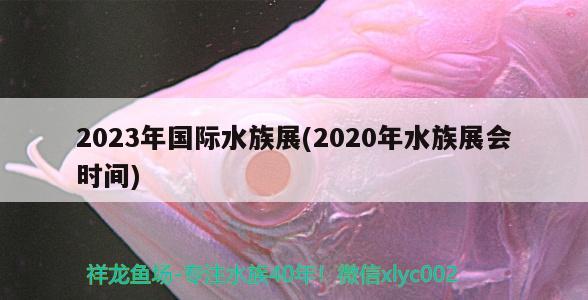 2023年國(guó)際水族展(2020年水族展會(huì)時(shí)間)