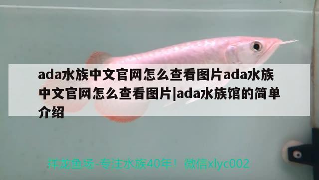 ada水族中文官網(wǎng)怎么查看圖片ada水族中文官網(wǎng)怎么查看圖片|ada水族館的簡(jiǎn)單介紹 黑影道人魚