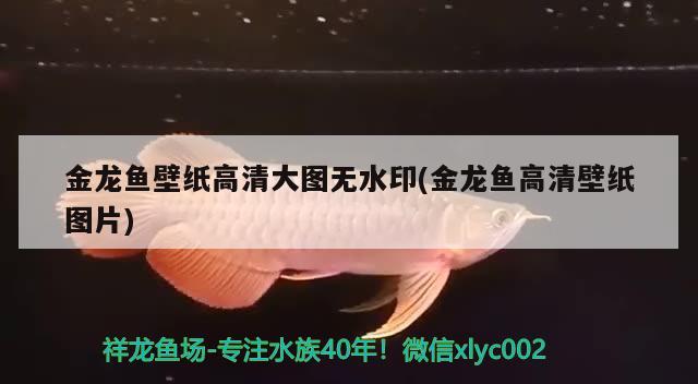 惠州亞克力魚缸廠家電話號碼解釋魚缸、水晶玻璃魚缸水質(zhì)，惠州亞克力魚缸廠家、魚缸如何改變魚缸水質(zhì)