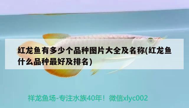 老魚缸過濾怎么改造好（這個(gè)側(cè)過濾魚缸怎么改造比較好） BD魟魚 第1張