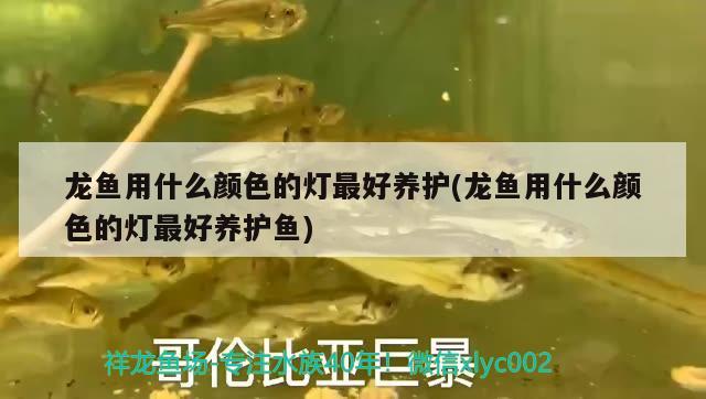 ERROR，什么牌子的魚缸質量好