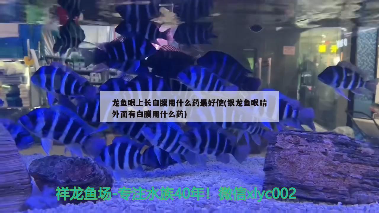 我這算小魚池嗎