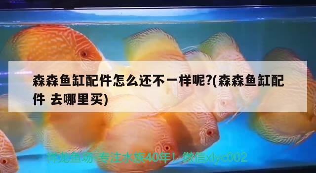 森森魚缸配件怎么還不一樣呢?(森森魚缸配件去哪里買)