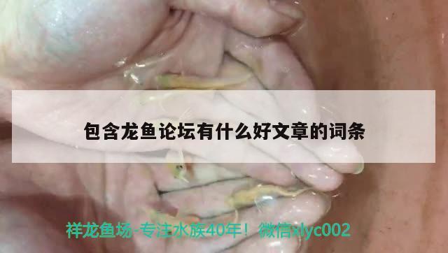 觀賞魚不愛游動,不怎么吃,怎么辦（觀賞魚不愛動且沉底是怎么回事） 廣州水族器材濾材批發(fā)市場 第2張