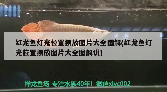 春天夜釣一般幾點(diǎn)上魚 潛水艇魚 第2張