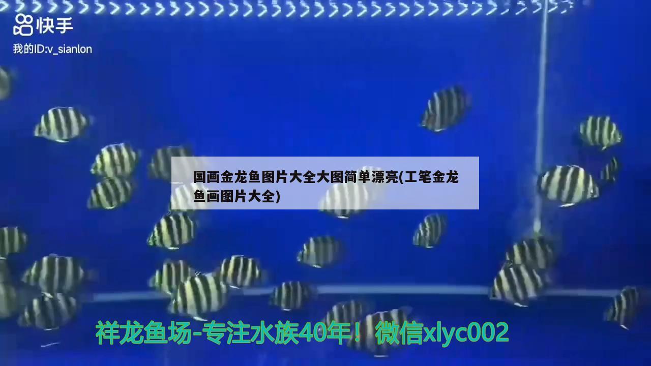 國畫金龍魚圖片大全大圖簡單漂亮(工筆金龍魚畫圖片大全)