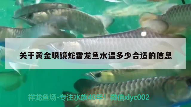 關(guān)于黃金眼鏡蛇雷龍魚水溫多少合適的信息 黃金眼鏡蛇雷龍魚