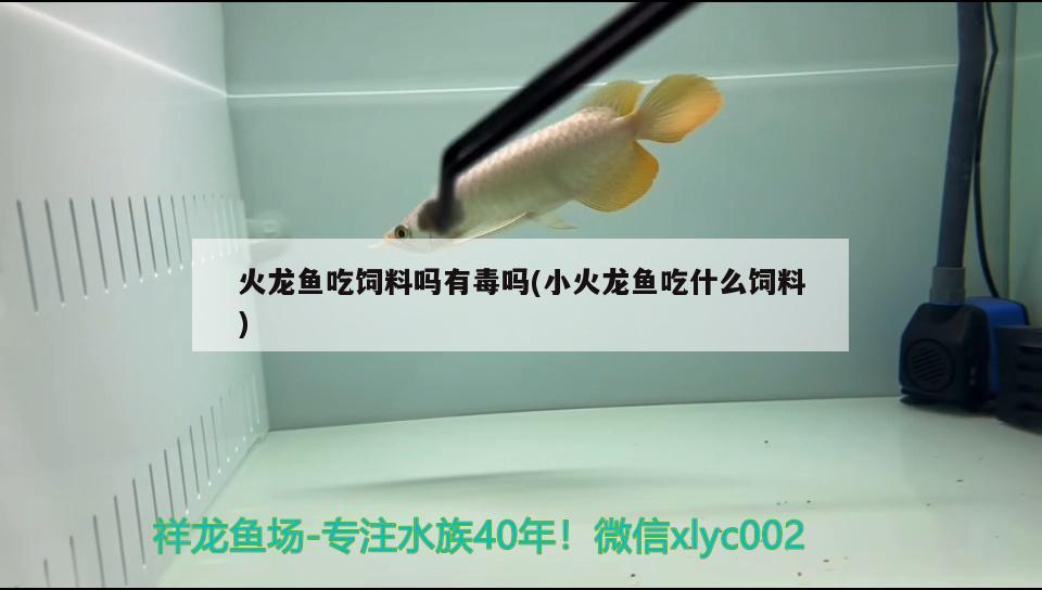 魚缸氧氣泵的安裝方法圖解（新買的魚缸怎么安裝）