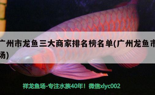 義烏哪里賣魚缸便宜（義烏多功能觀賞魚缸批發(fā)） 過濾設備 第2張