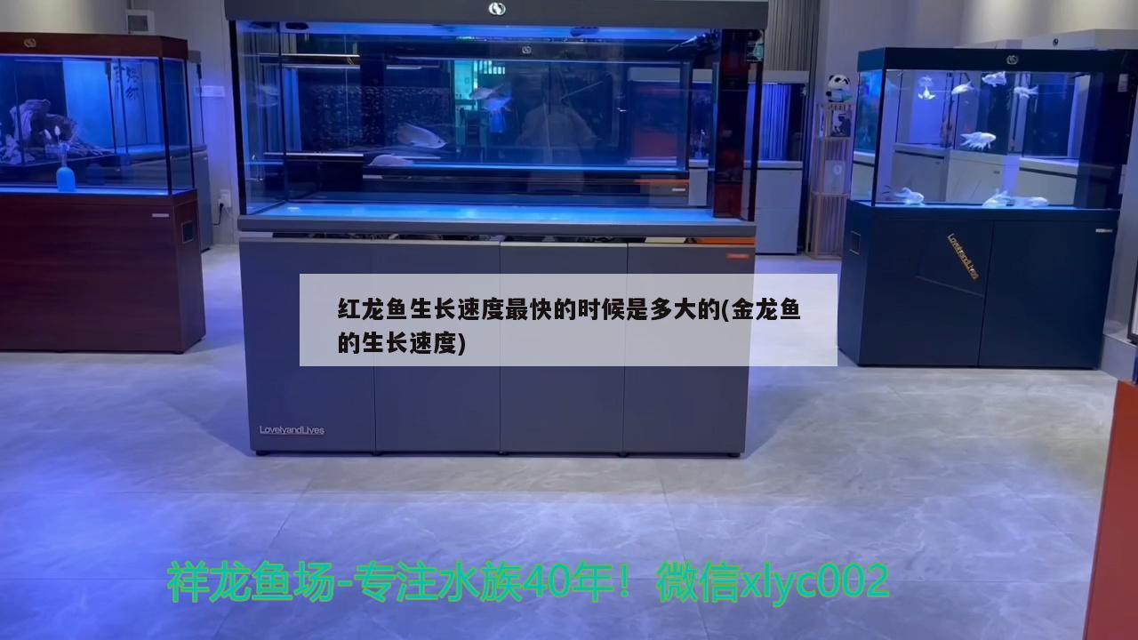 北京向欣夢露商貿(mào)店 全國水族館企業(yè)名錄 第3張