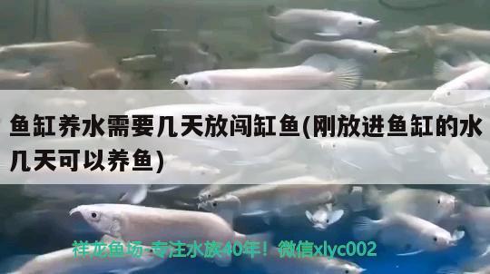 國外水族箱品牌排行榜：國外水族箱品牌排行榜最新 魚缸/水族箱 第2張