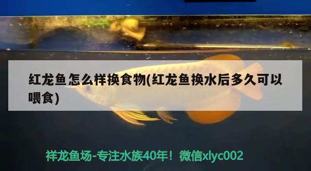 cta南美水族論壇逃僧衣舊(cta南美水族論壇app)