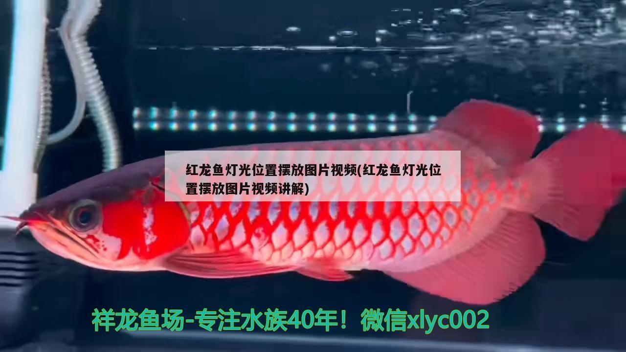 創(chuàng)星水族箱有哪些生產(chǎn)廠家，魚缸有什么品牌 魚缸/水族箱 第2張