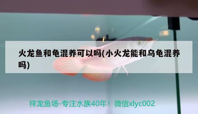 梅州市梅江區(qū)觀景水族店 全國水族館企業(yè)名錄 第2張