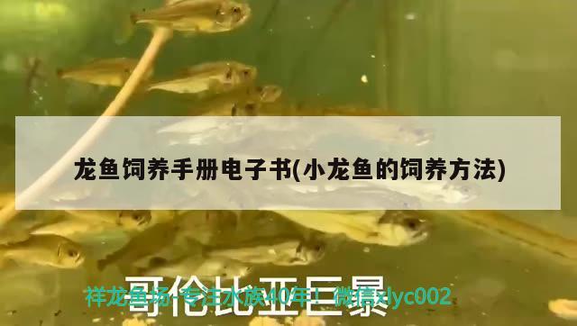 龍魚飼養(yǎng)手冊(cè)電子書(小龍魚的飼養(yǎng)方法) 觀賞魚企業(yè)目錄