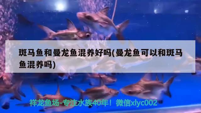 魚(yú)缸里的水為什么會(huì)變綠，魚(yú)缸里的水變綠是咋回事