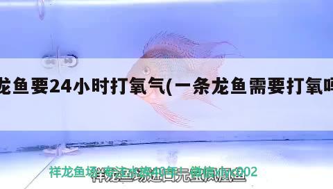 撫順二手魚缸出售最新信息大全圖片（撫順二手魚缸出售最新信息大全圖片及價格） 觀賞魚 第1張