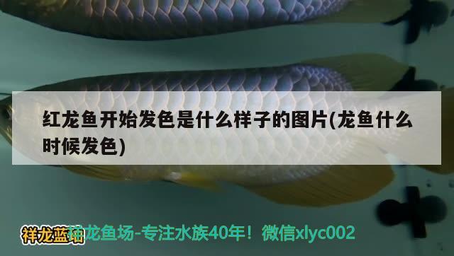 海竿輪是紡車輪好用還是水滴輪如何組裝 溫控設(shè)備 第2張