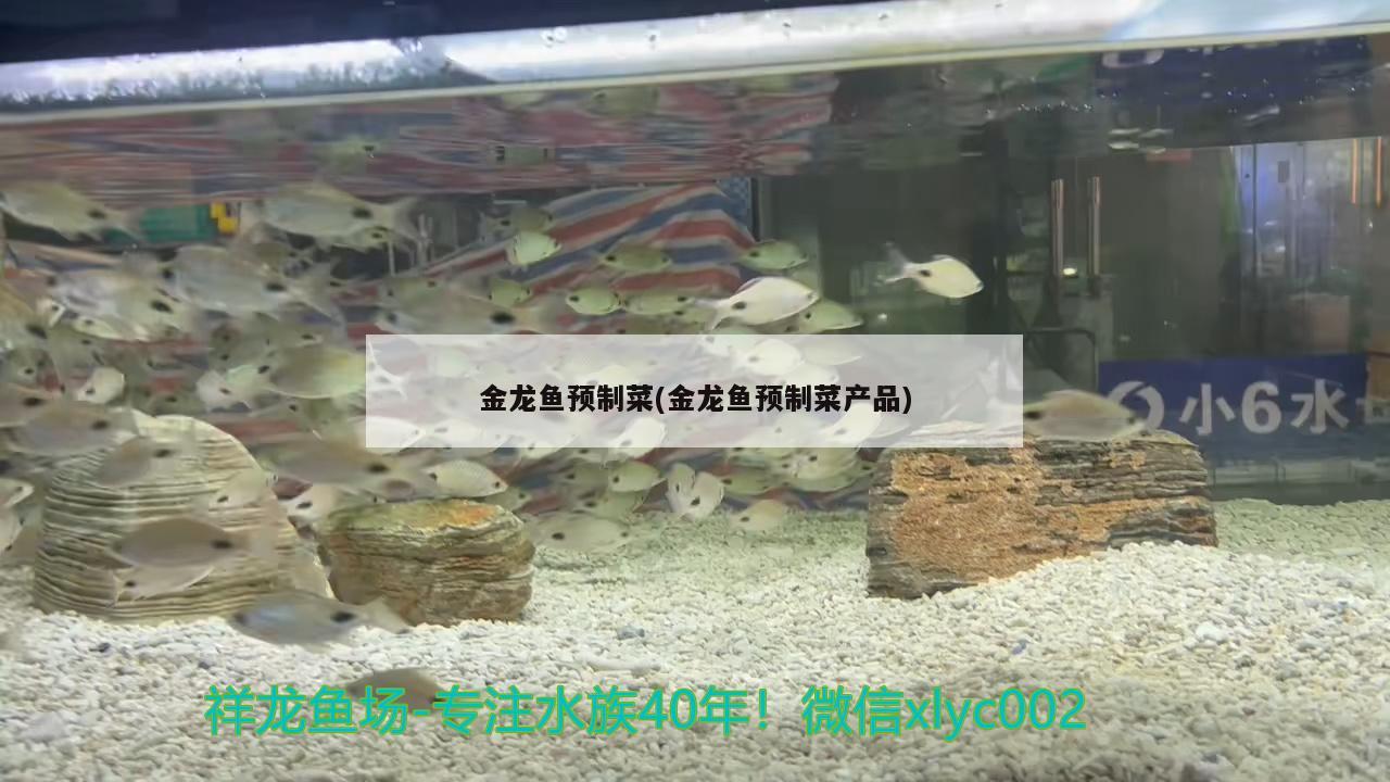 金龍魚預(yù)制菜(金龍魚預(yù)制菜產(chǎn)品) 狗頭魚