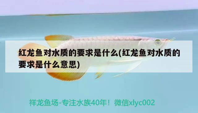 紅龍魚(yú)對(duì)水質(zhì)的要求是什么(紅龍魚(yú)對(duì)水質(zhì)的要求是什么意思)