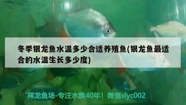 北京魚缸養(yǎng)護(hù)北京 清江水族：北京魚缸底柜廠家哪家的產(chǎn)品質(zhì)量好些 養(yǎng)魚的好處 第2張