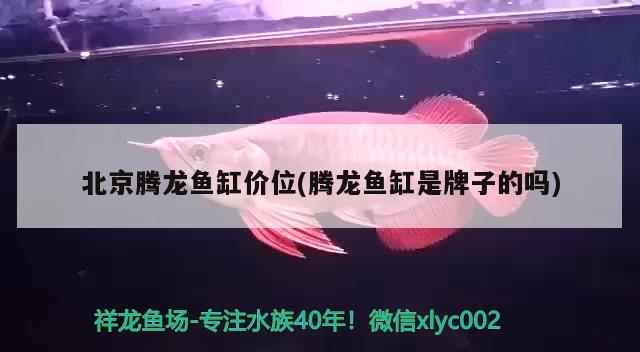 北京騰龍魚缸價位(騰龍魚缸是牌子的嗎)