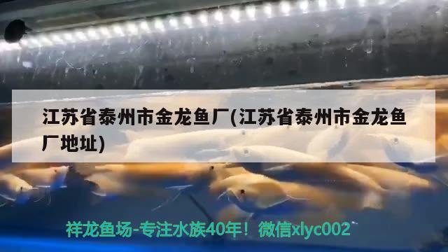 江蘇省泰州市金龍魚(yú)廠(江蘇省泰州市金龍魚(yú)廠地址) 伊巴卡魚(yú)