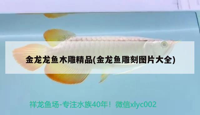 金龍龍魚木雕精品(金龍魚雕刻圖片大全) 元寶鳳凰魚