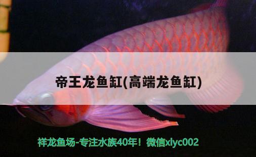 帝王龍魚缸(高端龍魚缸)