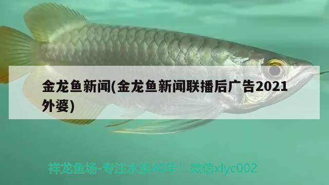 金龍魚新聞(金龍魚新聞聯(lián)播后廣告2021外婆) 金龍魚糧