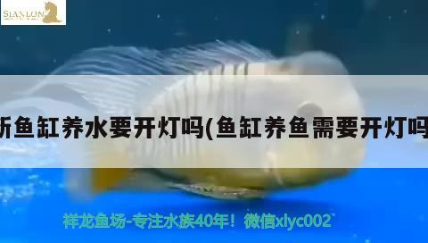 新魚缸養(yǎng)水要開燈嗎(魚缸養(yǎng)魚需要開燈嗎) 殺菌消毒設(shè)備