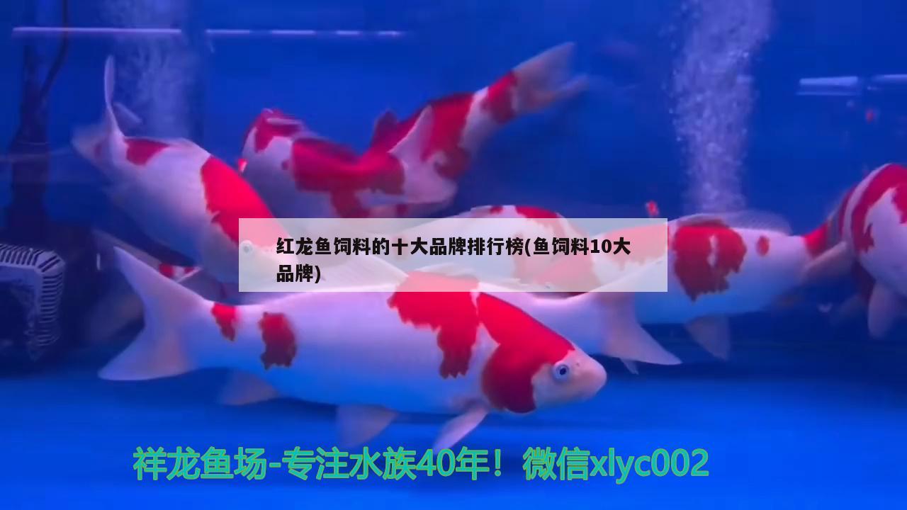 海鹽消毒魚缸好嗎（海鹽魚缸消毒方法）